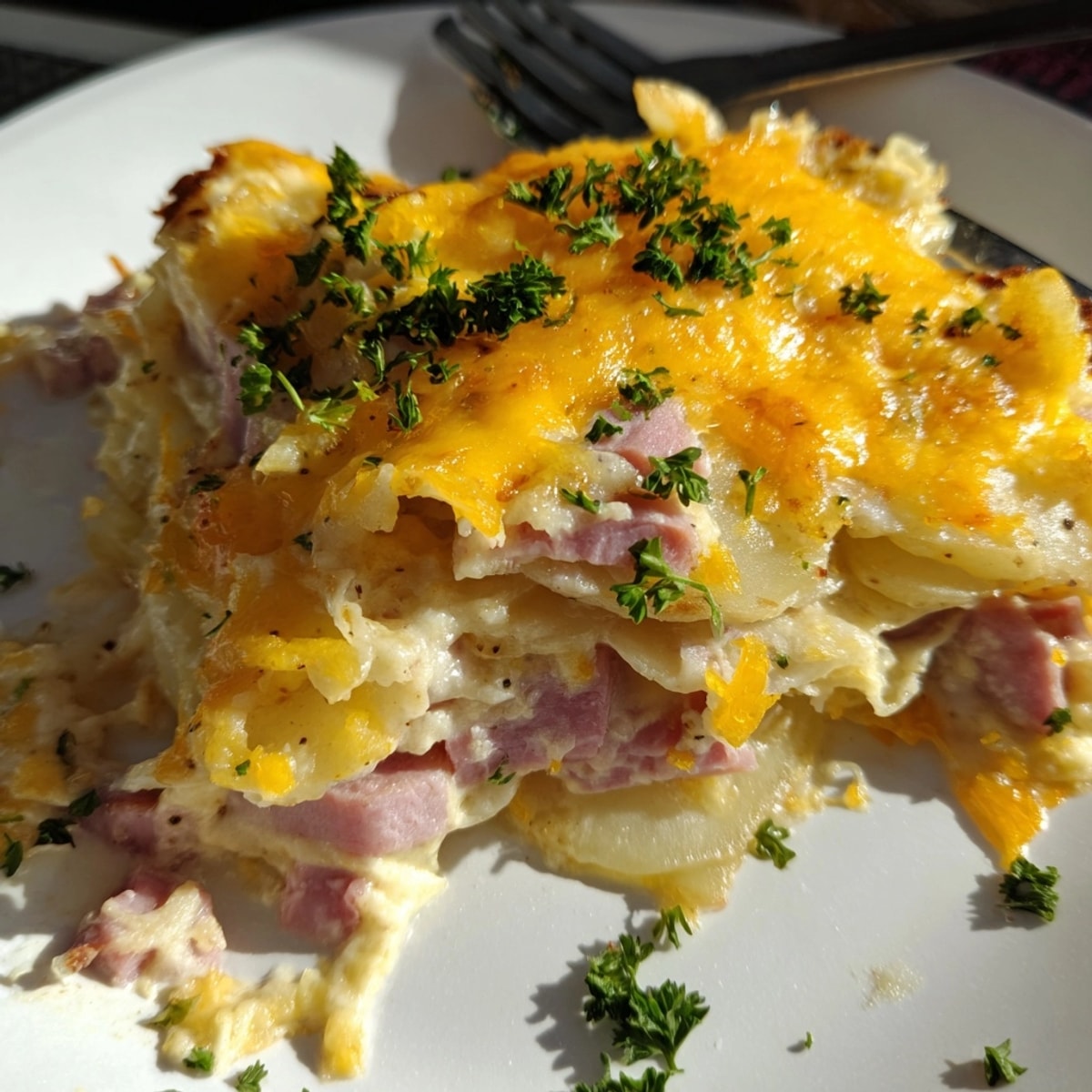 Golden brown Cheesy Potato and Ham Casserole, bubbly and straight from the oven.